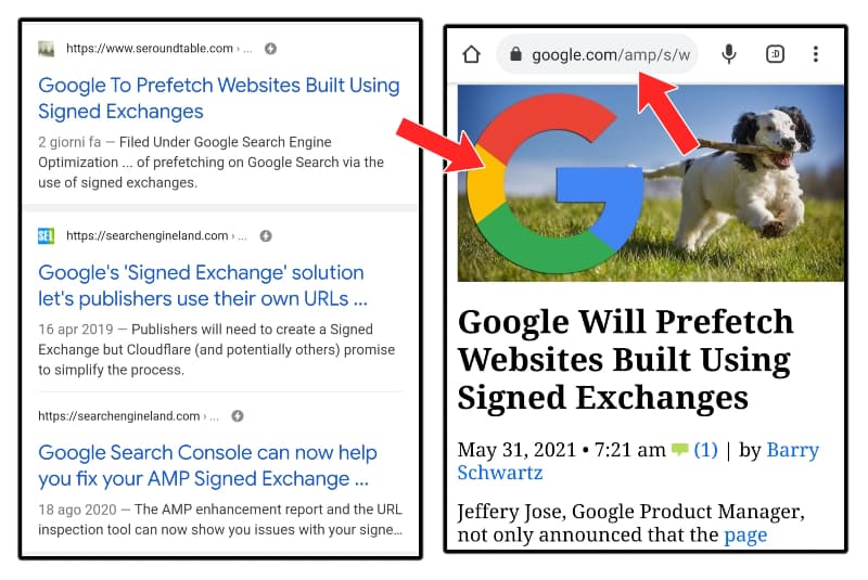 Un esempio di come viene visualizzato l'URL di un risultato AMP