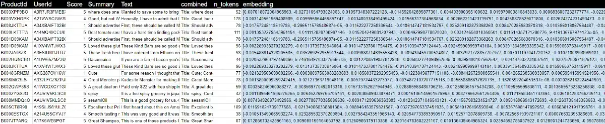 Un'estrazione del file che contiene le recensioni e gli embeddings