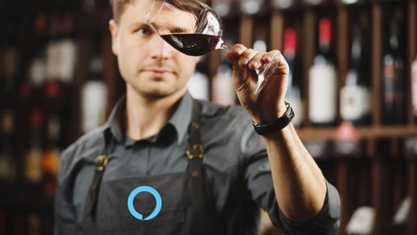 Vino Perfetto: la nuova skill che trasforma Alexa in un sommelier